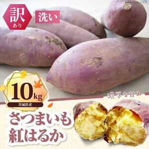 yӂ邳Ɣ[Łzy󂠂zg͂邩 10kgb܂   킯 󂠂 g͂邩 ^l̃nVg 錧 ss(BS-23)