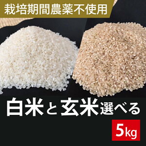 yӂ邳Ɣ[Łz͔|Ԕ_sgp錧Y Ђ 5kg(Ă܂͌)b   Ђ RVqJ ߘa7NY R7NY V   Iׂ _sgp 錧 ss(B