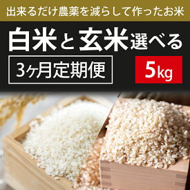 【ふるさと納税】BI-76 3ヶ月定期便【できるだけ農薬を減らして作ったお米】白米または玄米　5kg×3回