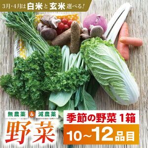 �y�ӂ邳�Ɣ[�Łz�@�g�̂���ԋG�߂̖�� 10�`12�i��(3���A4���͕� 5kg)�b�� ���� ���� ���� ��� ��؃Z�b�g �͔|���Ԕ_��s�g�p ��錧���ʕԗ�i ���ʕԗ�i ��錧 �����s �s���s(BI-8)