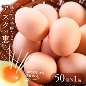 【ふるさと納税】　黄身が濃厚な卵 アスタの恵み 50個入×1ケース 朝採りたまご 新鮮 産地直送 国産 茨城県行方市 送料無料｜U-2
