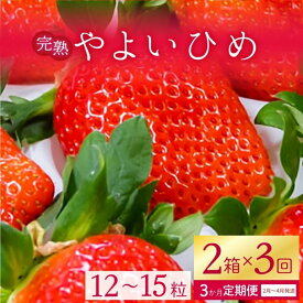 【ふるさと納税】【選べる内容量】【2026年2月より順次発送】【3ヶ月定期便】甘～い！いちご やよいひめ (1箱：12粒～15粒入り)｜いちご イチゴ 苺 ストロベリー やよいひめ 果物 くだもの 定期便 フルーツ定期便 先行予約 茨城県 行方市(V-1)3or 2or 1箱×3回(V-2)