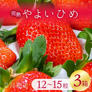 yӂ邳Ɣ[ŁzyIׂeʁzy2026N2zÁ`I@悢Ђ߁@12`15@3`1(V-19)