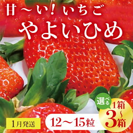 【ふるさと納税】【選べる内容量】【2026年1月発送】甘～い！いちご　やよいひめ　12粒～15粒入り　3～1箱(V-20)