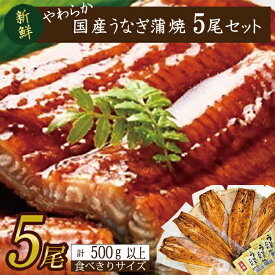 【ふるさと納税】やわらか国内産うなぎ蒲焼き！ 食べ切りサイズ100～120g 5尾　計500g以上|うなぎ 鰻 蒲焼 食べ切り 茨城県 行方市(AD-103-1)