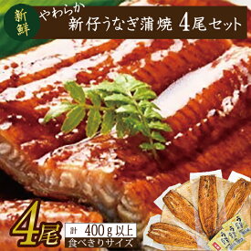 【ふるさと納税】やわらか新仔うなぎ食べ切りサイズ100～120g　4尾　計400g以上　AD-104