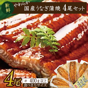 yӂ邳Ɣ[Łz炩YȂĂI Hא؂TCY100`120g 4@v400gȏ|Ȃ V  Hא؂ 錧 ss(AD-104-1)