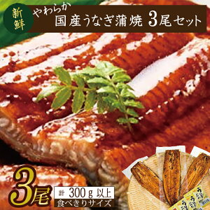 yӂ邳Ɣ[Łz炩YȂĂI Hא؂TCY100`120g 3@v300gȏ|Ȃ V  Hא؂ 錧 ss(AD-105-1)