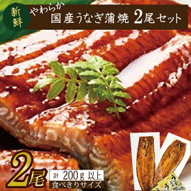 【ふるさと納税】やわらか国内産うなぎ蒲焼き！ 食べ切りサイズ100～120g 2尾　計200g以上|うなぎ 鰻 蒲焼 食べ切り 茨城県 行方市(AD-106-1)
