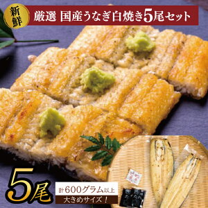 yӂ邳Ɣ[ŁzyIׂeʁz傫ȍYȂ()140`160g×2`5bȂ V EiM Y YȂ Ă   yp̉N̓ N̓ 錧 ss(AD-146)