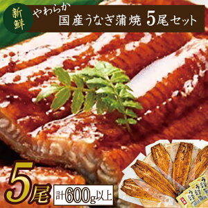 yӂ邳Ɣ[Łz炩YȂĖTCYI120`140g 5@v600gȏ|Ȃ V   錧 ss(AD-82-1)