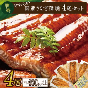 yӂ邳Ɣ[Łz炩YȂĖTCYI120`140g 4@v480gȏ|Ȃ V   錧 ss(AD-83-1)