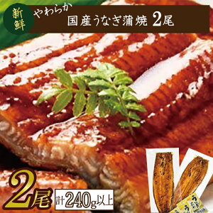yӂ邳Ɣ[Łz炩YȂĖTCYI120`140g 2@v240gȏ|Ȃ V   錧 ss(AD-85-1)