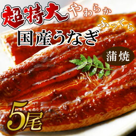 【ふるさと納税】超特大！やわらか国内産うなぎ蒲焼220～250g 5尾　計1100g以上|うなぎ 鰻 蒲焼 特大 茨城県 行方市(AD-92-1)