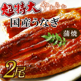 【ふるさと納税】超特大！やわらか国内産うなぎ蒲焼220～250g 2尾　計440g以上|うなぎ 鰻 蒲焼 特大 茨城県 行方市(AD-95-1)
