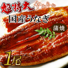 【ふるさと納税】超特大！やわらか国内産うなぎ蒲焼220～250g 1尾|うなぎ 鰻 蒲焼 特大 茨城県 行方市(AD-96-1)