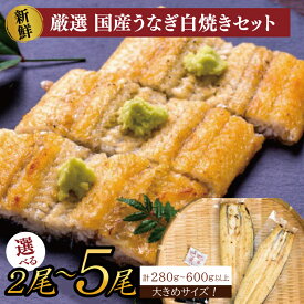 【ふるさと納税】【選べる内容量】大きな国内産うなぎ白焼(酒蒸し)140～160g×2尾～5尾｜うなぎ 鰻 ウナギ 国産 国産うなぎ 白焼き 白焼 酒蒸し 土用の丑の日 丑の日 茨城県 行方市(AD-146)