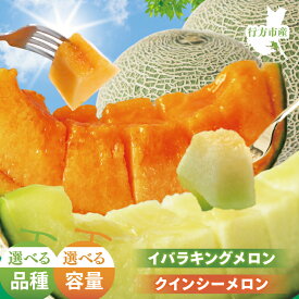 【ふるさと納税】【先行予約】【2026年5月より順次発送】【選べる品種・内容量】関口さんちのイバラキングメロン・クインシーメロン｜メロン クインシーメロン イバラキングメロン 特大玉 プレミアムサイズ フルーツ 果物 くだもの 先行予約 茨城県 行方市（BW-15）