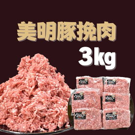 【ふるさと納税】 美明豚 挽肉 500g×6パック ｜DH-4