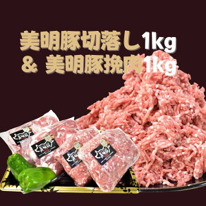 yӂ邳Ɣ[Łz  ؗ 500g×2  ғ 500g×2 v2kg | DH-2