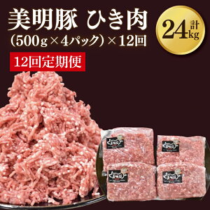 yӂ邳Ɣ[ŁzyIׂzy؁zғ v2kg(500g×4pbN)iDH-19j