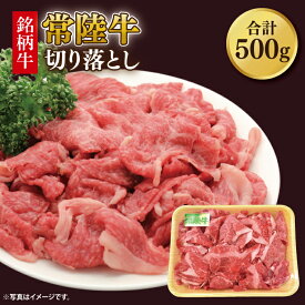 【ふるさと納税】常陸牛切り落とし 約500g｜肉 お肉 牛肉 肉類 常陸牛 切り落とし ブランド 使い切り 少量 茨城県 行方市(DH-31)