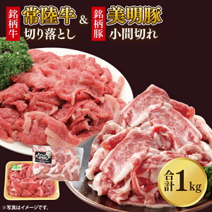 yӂ邳Ɣ[Łz؏Ԑ؂ꁕ헤؂藎Ƃ v1kg(e500g×1)b     헤  ؂藎Ƃ Ԑ؂ Zbg A\[g uh g؂  錧 ss(DH