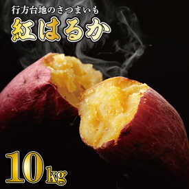 【ふるさと納税】【2026年9月より順次発送】★訳あり★ 無選別 行方台地のさつまいも 紅はるか 約10kg｜R7年産も選べる｜さつまいも 芋 サツマイモ 紅はるか 訳あり わけあり 無選別 先行予約 茨城県 行方市(CU-55-4)