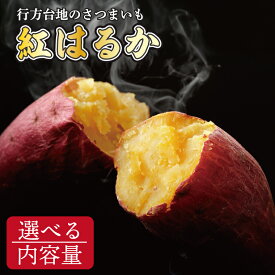 【ふるさと納税】【2026年2月より順次発送】【内容量が選べる】★訳あり★ 無選別 行方台地のさつまいも 紅はるか｜さつまいも 芋 サツマイモ 紅はるか 訳あり わけあり 無選別 5kg10kg 15kg 茨城県 行方市(CU-55-5)