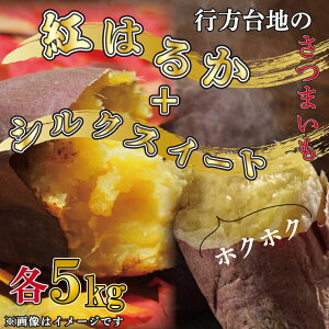 yӂ邳Ɣ[ŁzyIׂzʌ聚y󂠂zI sn̂܂ g͂邩5kg{VNXC[g5kg()b܂  Tc}C VNXC[g g͂
