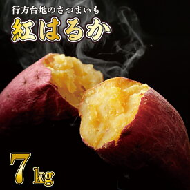 【ふるさと納税】【2026年9月より順次発送】★訳あり★ 無選別 行方台地のさつまいも 紅はるか 約7kg｜さつまいも 芋 サツマイモ 紅はるか 訳あり わけあり 無選別 先行予約 茨城県 行方市(CU-55-7)