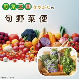 【ふるさと納税】野菜王国なめがたの旬野菜便｜CU-127