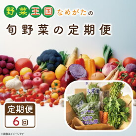 【ふるさと納税】【6ヶ月定期便】野菜王国なめがたの旬野菜の定期便｜CU-129