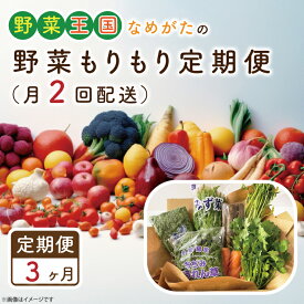 【ふるさと納税】【3ヶ月定期便】野菜王国なめがたの野菜もりもり定期便（月2回発送）｜CU-140