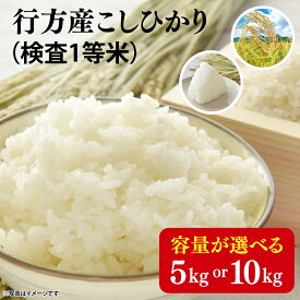 【ふるさと納税】★令和7年産★行方産こしひかり(検査1等 米) 5kg or 10kg｜米 お米 コシヒカリ こしひかり R7年産 茨城県 行方市(CU-30-2)