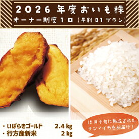 【ふるさと納税】【早割B1プラン】2026年度おいも株オーナー制度 1口｜さつまいも 芋 サツマイモ お芋 おいも株 株 オーナー いばらきゴールド 米 お米 らぽっぽファーム 体験 農園 茨城県 行方市(CQ-6-1)