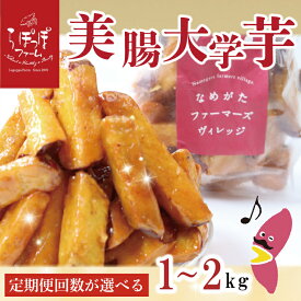 【ふるさと納税】【選べる内容量・回数】らぽっぽファーム【工場直送】美腸大学いも｜CQ-67