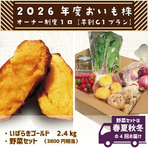 yӂ邳Ɣ[ŁzyC1vz2026NxI[i[x 1b܂  Tc}C    I[i[ ΂炫S[h  ؃Zbg  ۂۃt@[ 