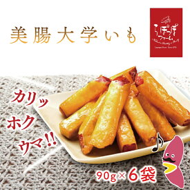 【ふるさと納税】【2025年12月中旬より順次発送】らぽっぽファーム　美腸大学いも　90g×6袋｜さつまいも 大学芋 芋 サツマイモ だいがくいも スイーツ お菓子 冷凍 美腸大学芋 人気 送料無料 茨城県 行方市 らぽっぽファーム(CQ-14)