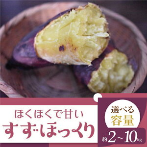 yӂ邳Ɣ[Łz2025NxY zNzNŊÂ܂ ق 2`10kgb܂   ق aJ_ 錧 ss(BZ-13)