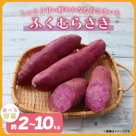 【ふるさと納税】【選べる内容量】【2025年11月より順次発送】2025年度産 しっとり甘い鮮やかな紫いも ふくむらさき 約2kg・5kg・10kg｜さつまいも 芋 お芋 ふくむらさき 紫いも 渋谷農園 先行予約 茨城県 行方市(BZ-36)