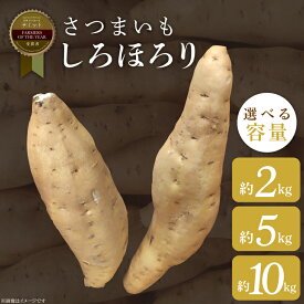 【ふるさと納税】【選べる内容量】【2025年11月より順次発送】2025年度産 さつまいも しろほろり 約2kg・5kg・10kg｜さつまいも 芋 お芋 しろほろり 渋谷農園 先行予約 茨城県 行方市(BZ-41)