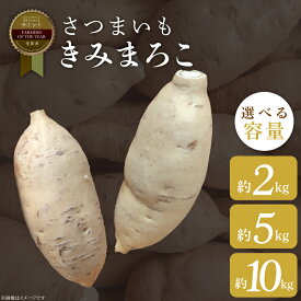 【ふるさと納税】【選べる内容量】【2026年11月より順次発送】2026年度産 さつまいも きみまろこ 約2kg・5kg・10kg｜さつまいも 芋 お芋 きみまろこ 渋谷農園 先行予約 茨城県 行方市(BZ-44)