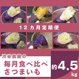 【ふるさと納税】【12ヶ月定期便】渋谷農園の毎月食べ比べさつまいも 約4.5kg｜BZ-21
