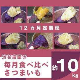 【ふるさと納税】【12ヶ月定期便】渋谷農園の毎月食べ比べさつまいも 約10kg｜BZ-22