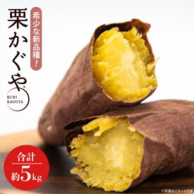 【ふるさと納税】【2026年7月より順次発送】希少な新品種！7月限定「行方の黄福(栗かぐや)」さつまいも 約5kg｜さつまいも サツマイモ さつま芋 お芋 希少 新品種 栗かぐや 先行予約 茨城県 行方市(AE-88)