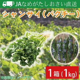 【ふるさと納税】JAなめがたしおさい直送　シャンサイ（パクチー1kg）｜ AE-28