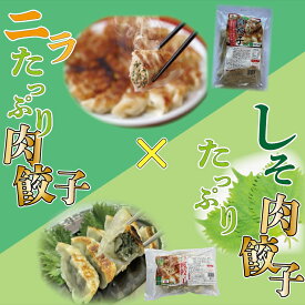 【ふるさと納税】【ローズポーク使用】JA・しそたっぷり肉餃子（30個）＆ニラたっぷり肉餃子（30個）セット｜AE-51