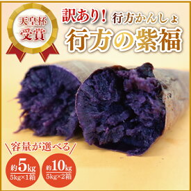 【ふるさと納税】【選べる内容量】【2026年2月より順次発送】【訳あり】行方かんしょ「行方の紫福」さつまいも約5kg・約10kg（洗い・不揃い・C品）｜さつまいも サツマイモ さつま芋 お芋 行方の紫福 訳あり わけあり 訳アリ 行方かんしょ 茨城県 行方市(AE-112)