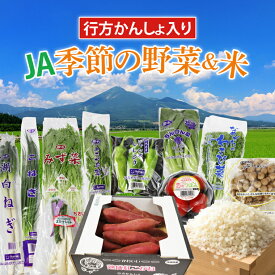【ふるさと納税】【『行方かんしょ』入り】JA　季節の野菜＆米 約5kg(AE-4-1)